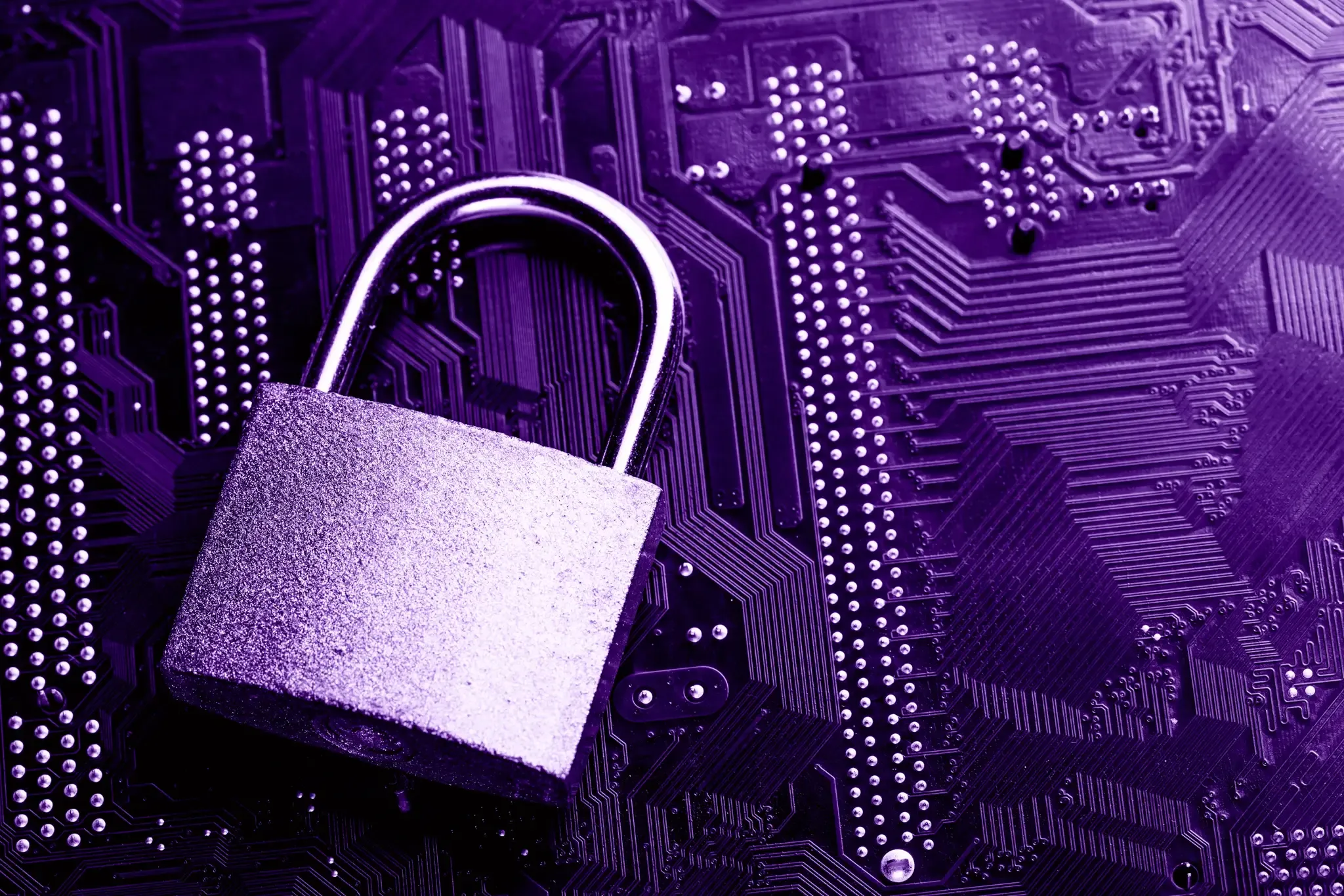 WordPress security: Is it safe?